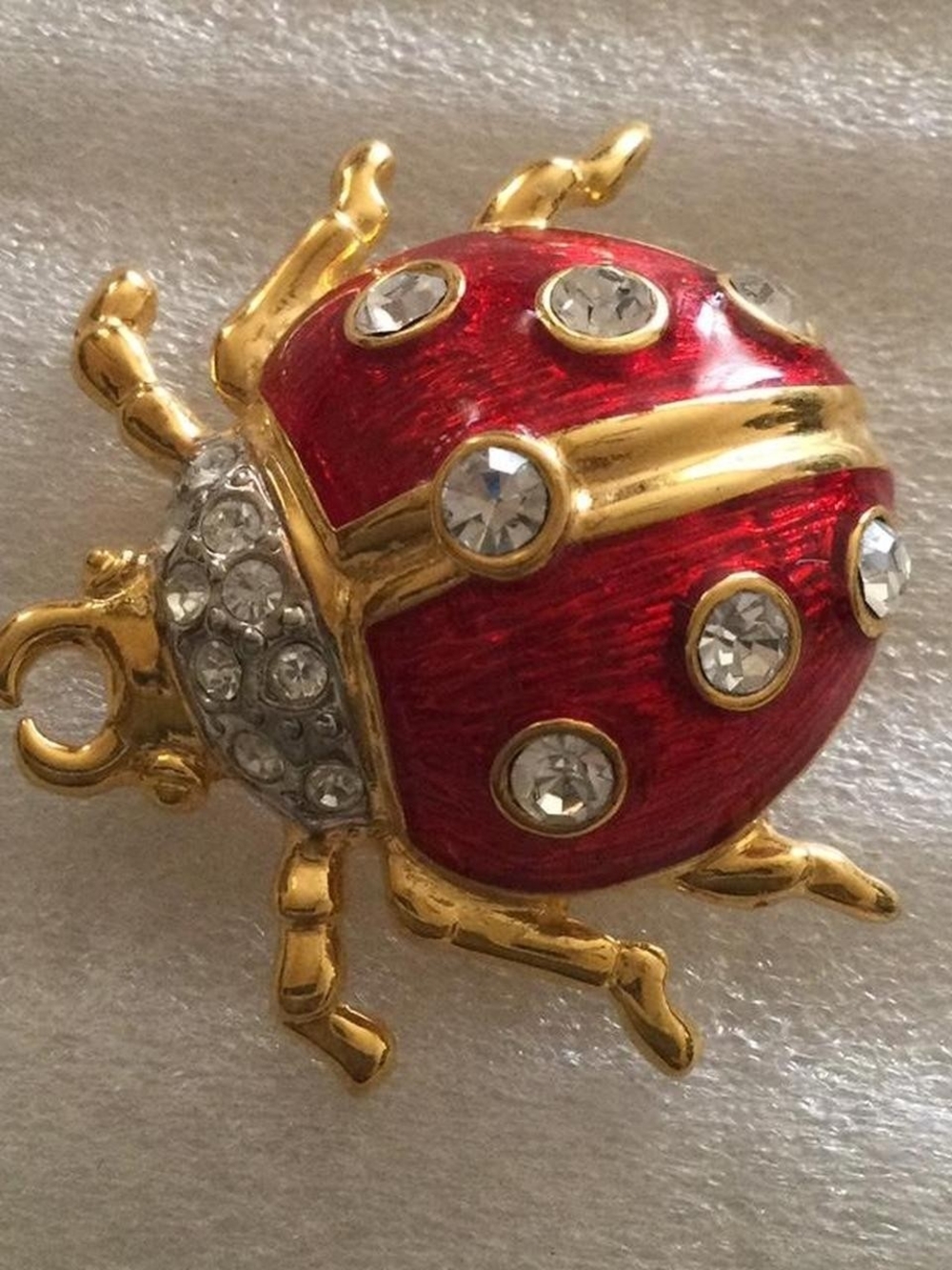 Ladybug Pin
